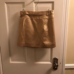 JCrew skirt